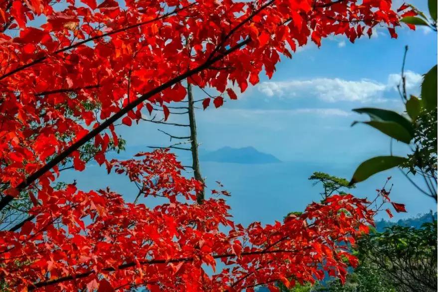 鍥涘浗宀涚箒浣撳瓧,鍥涘浗宀涙湁鍝簺浼犺