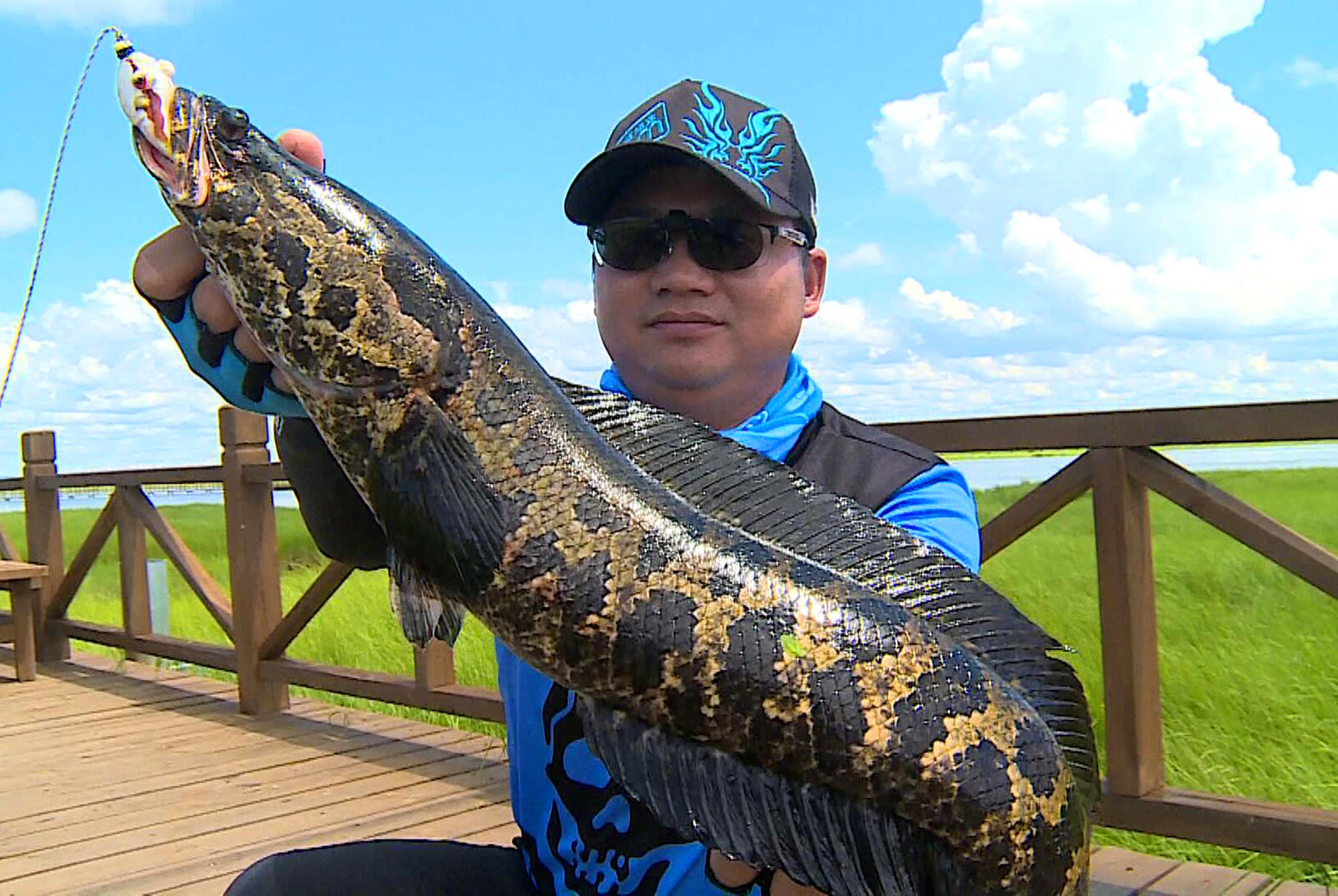 闆疯洐瑁呭閫夋嫨,缁忓吀鏁欏闆峰己瑁呭绡囦箣闆疯洐绯诲垪