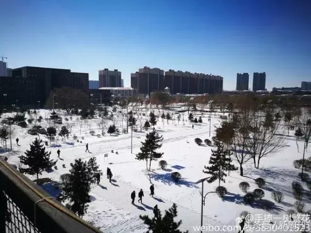 全球最美的十大雪景,全国十大最好看的雪景