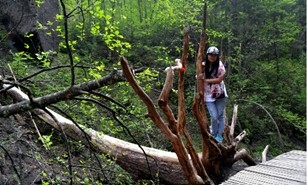 毕业旅行之云南,毕业旅行之峨眉山