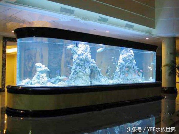 水族箱种类及优缺点,水族箱有几种品牌