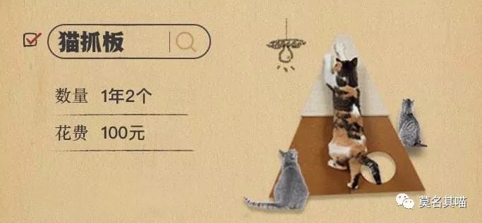 某宝某猫购物评价,某宝买猫100一只是真的吗