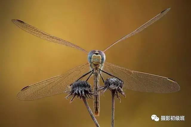 新手怎么了解锐克,初学者锐化技巧