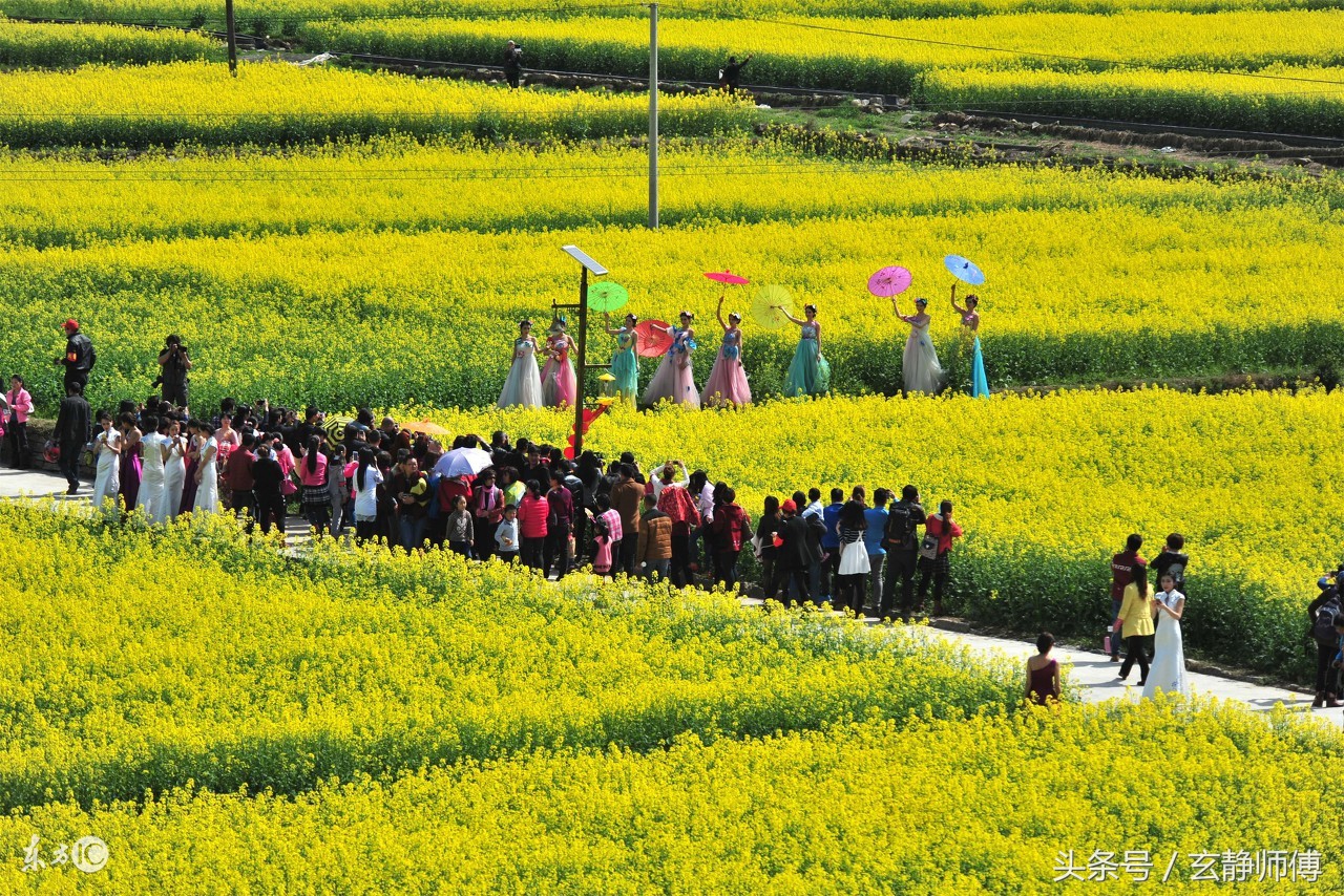生肖马和蛇的婚姻配对,生肖马和生肖蛇的婚姻