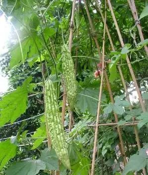 2018年你要如何过,2018你想做什么