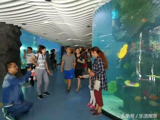 南京十大人气商场,南京前十名商场