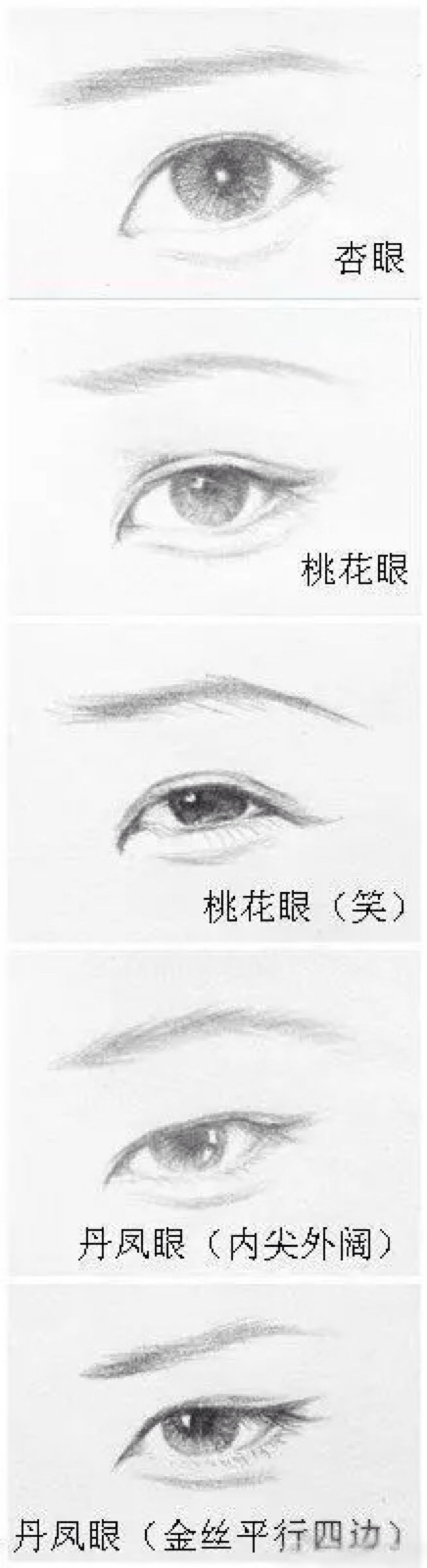 教你学画眼睛简单又漂亮,教你画三种风格的眼睛绘画教程