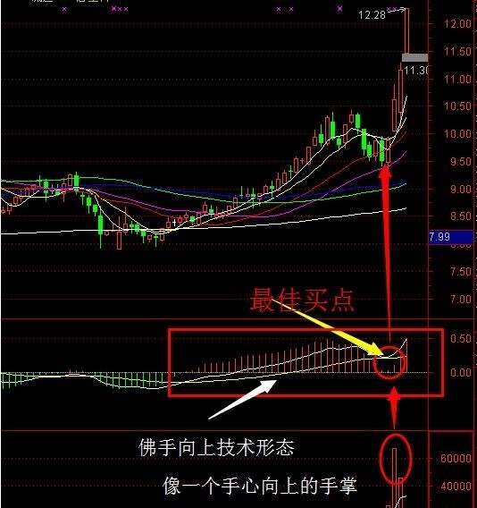 史上最强macd炒股口诀,macd炒股绝密技巧