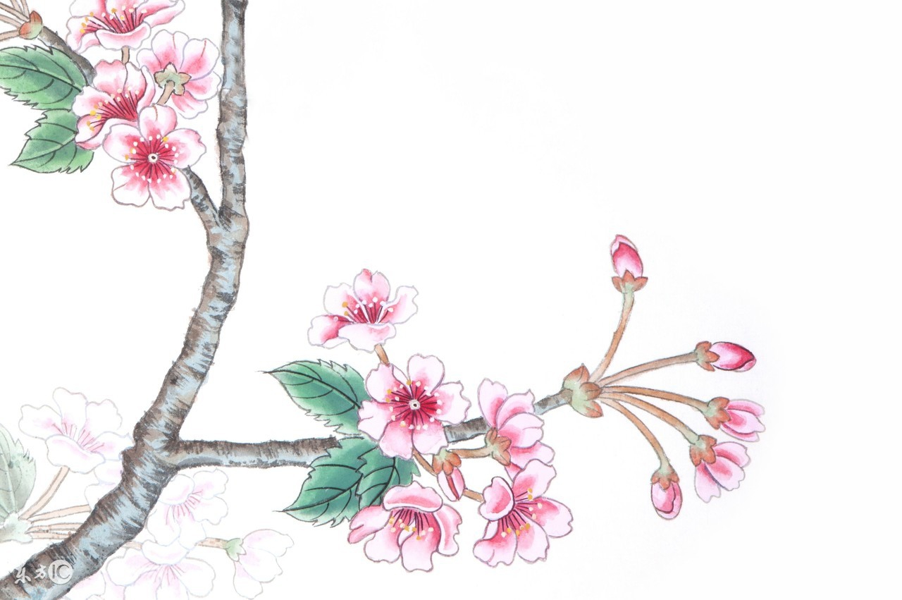 澶滈洦钀ц惂鐭ヤ箮鍚庣画,澶滈洦钀ц惂鍏ㄦ枃闃呰