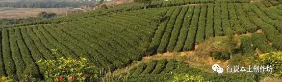 江冰：清远大山，有一种美丽你不懂！