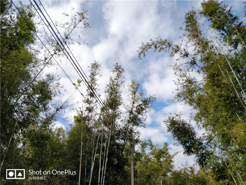 一加5t全面屏新旗舰,一加的前世今生