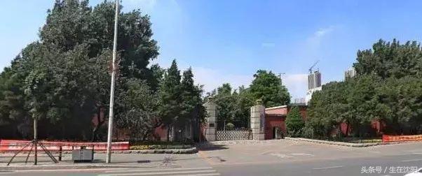 老沈阳，咱们聊聊大东区的“故事”，先从八王寺汽水、105雪糕说