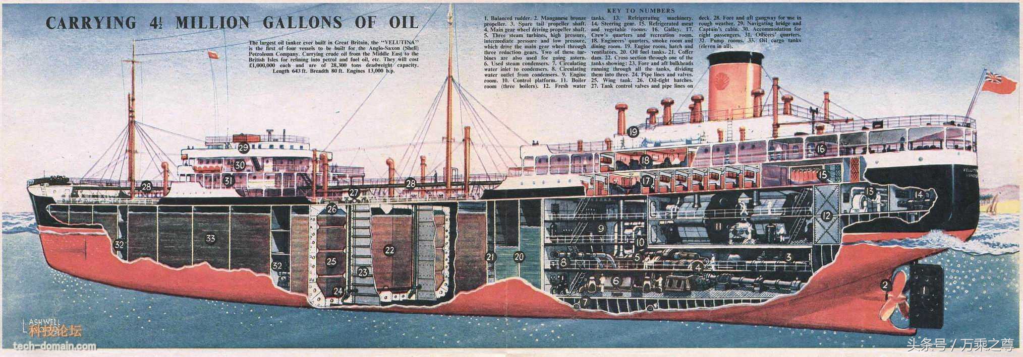 豪华邮轮实拍高清图片,豪华游轮剖面高清图