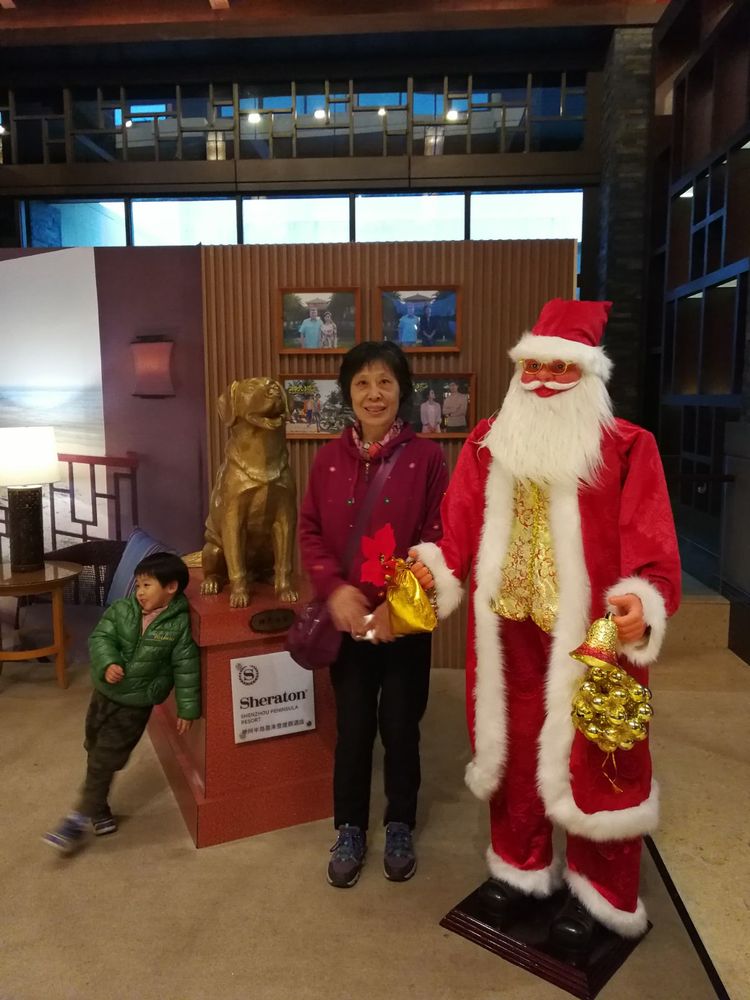 小孙子生活记录,带5岁儿子去海岛旅游的文章