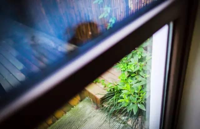 这栋小桥流水的民宿——“眷舍”