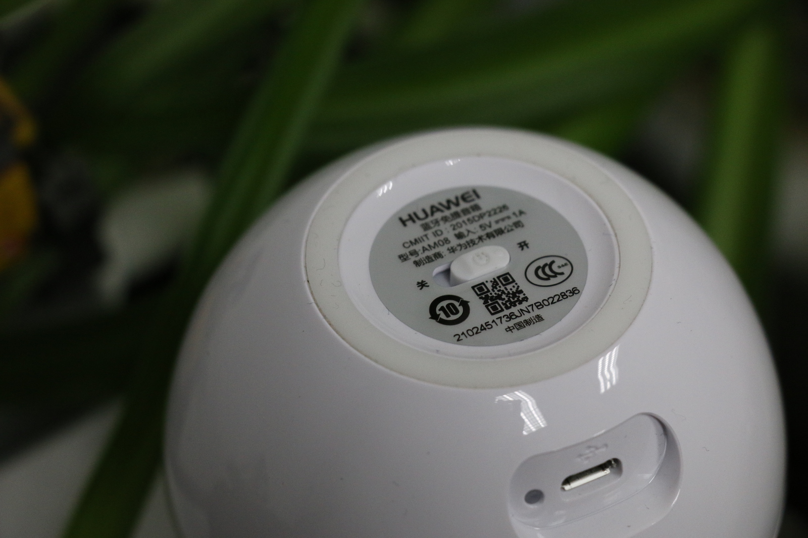 白毛浮绿水朗诵,白毛浮绿水曲项向天歌诗句