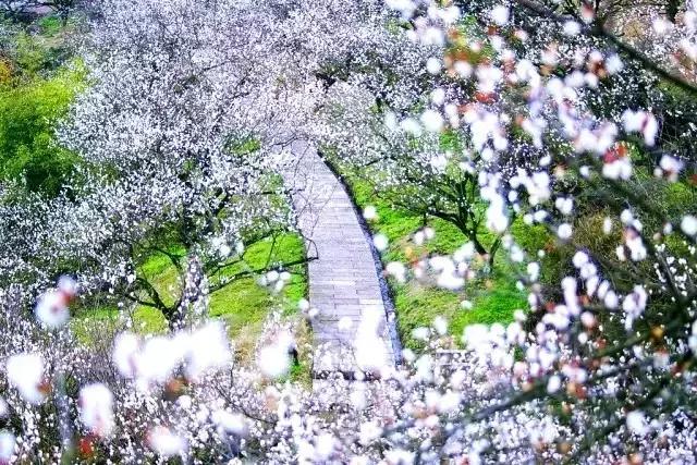 2019浙江旅行时间表,12月浙江最美旅行地排行