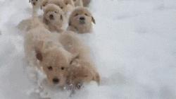 平民彩妆狗年限定,红色限定款彩妆有哪些