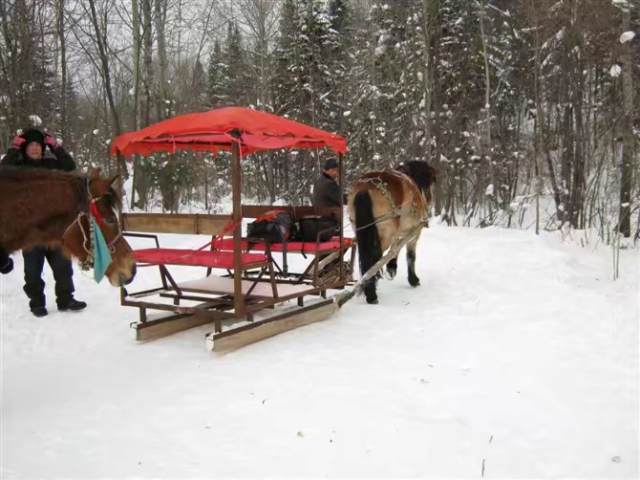 这次雪乡宰客怎么样,泰国雪乡宰客完整视频