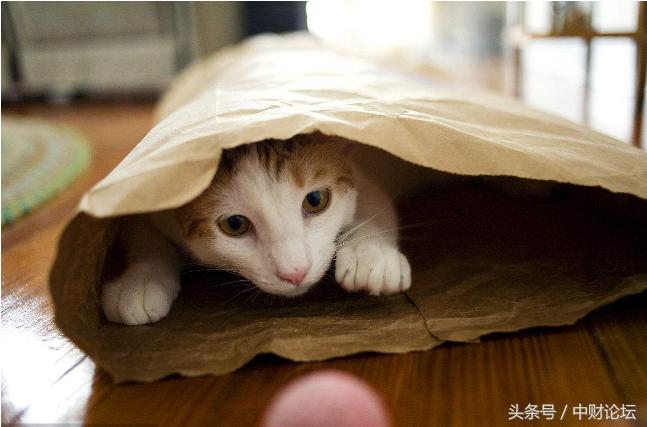 注定就是错误的相遇,有些错误注定是不可被原谅的