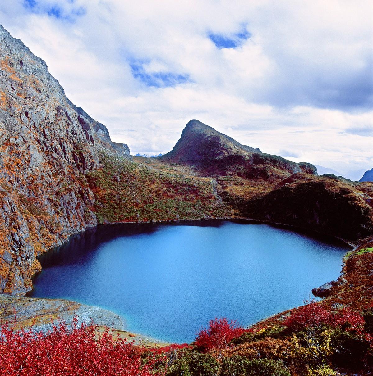 关于冬季里的温暖的故事,天冷了要听一些温暖的故事