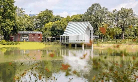 深圳新好玩的免费景点,深圳新出好玩的地方