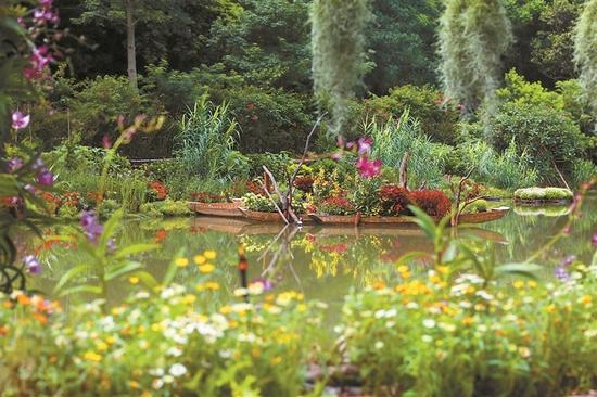 深圳新好玩的免费景点,深圳新出好玩的地方