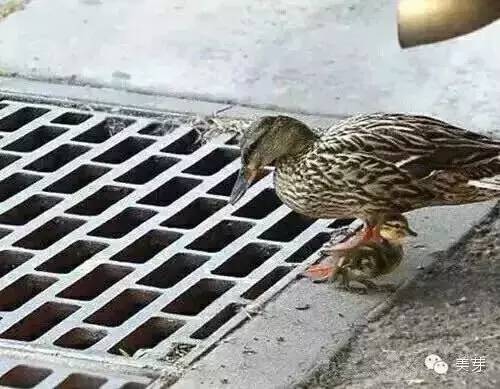 日本十大必买小众品牌,平价日韩品牌推荐