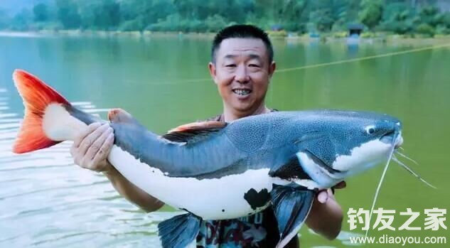 钓鱼探钓达人,钓鱼达人视频海钓