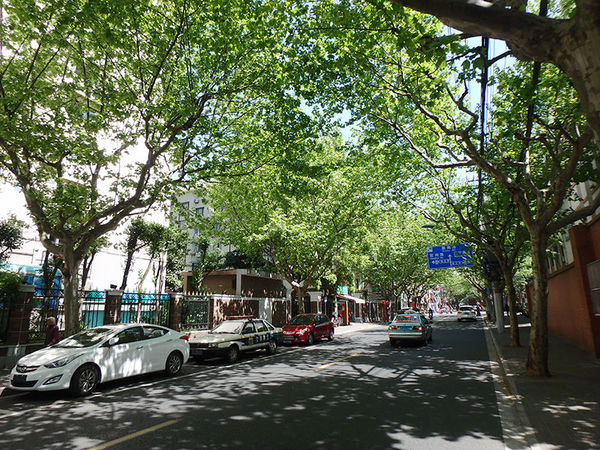 奥林巴斯tg-7运动相机怎样,奥林巴斯tg850拍照