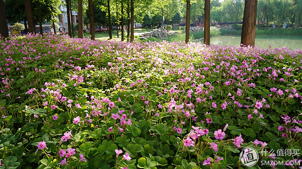 春季油皮平价保湿首选——kose润肌精HydroExpress升级版