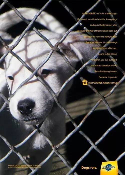 看完平面广告走过的这100年,你也能像马东一样让广告好玩起来