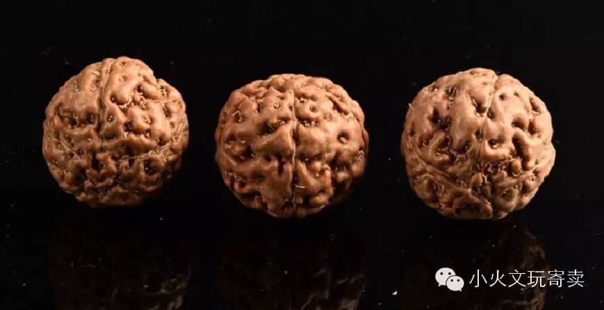 金刚和落地红的图片,金刚落地红视频