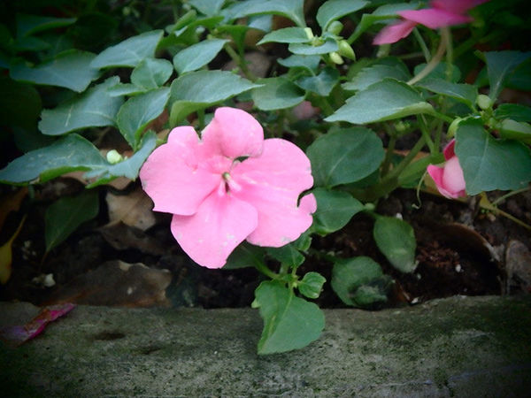 奥林巴斯tg-7运动相机怎样,奥林巴斯tg850拍照