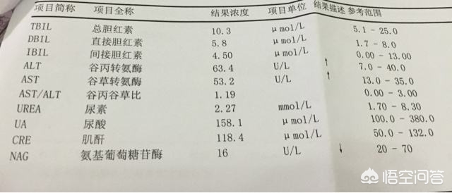 转氨酶高血脂高要注意什么,转氨酶高注意吃什么食物好