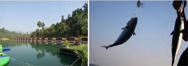 钓鱼探钓达人,钓鱼达人视频海钓