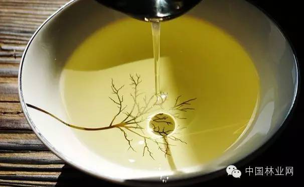 野生茶油的功效和食用方法,农村茶油功效与作用