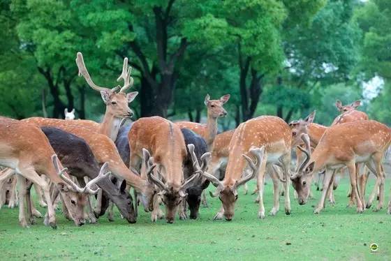 上海2020年学生放假通知,再上六天班就要集体放假