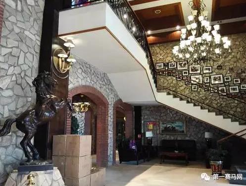 林晓彬：月底开放动物亲子乐园将引进夜间马术表演