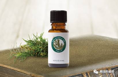 女人必备的三样化妆品,女人必备三大化妆品