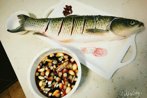 红烧草鱼鱼块的正确方法,红烧草鱼视频