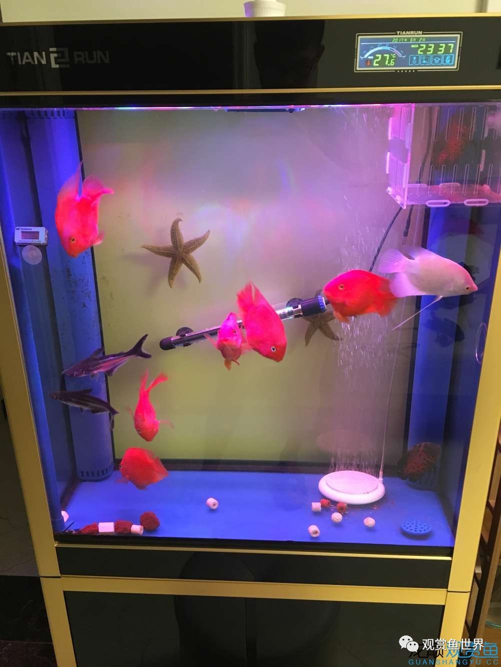 招财鱼烂肉最佳治疗方法,与食管癌抗争的五年