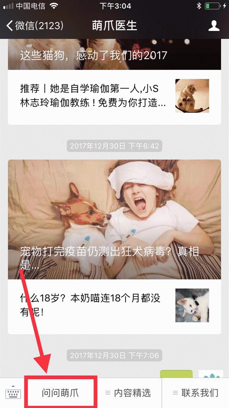 铲屎官对猫粮过敏,铲屎官猫过敏