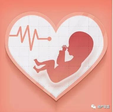 胚胎为何停止发育？10大因素是……