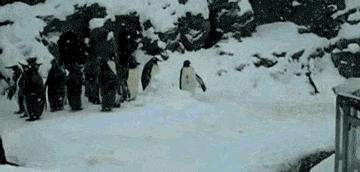 今年最强的冷空气,冷空气凶猛来袭