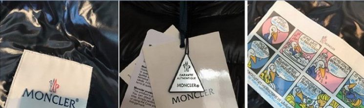 鎶勮鐨勬渶楂樺鐣屾湁澶氶珮,canadagoose