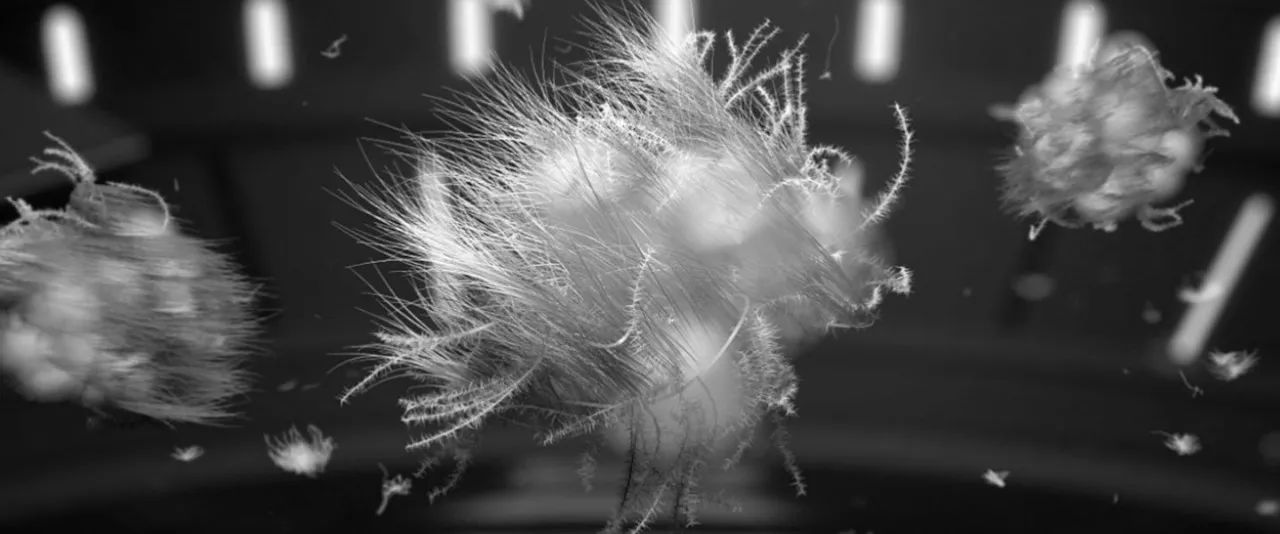 鎶勮鐨勬渶楂樺鐣屾湁澶氶珮,canadagoose