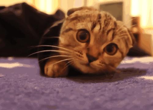 男人衰老的7个信号，硬汉不注意保养也会“垮”