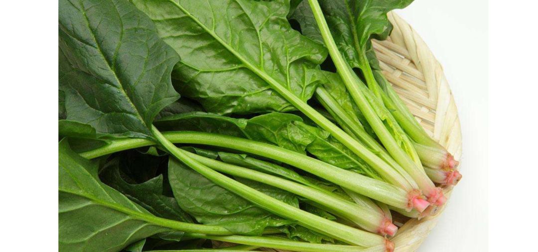 公认好用的润唇膏,口碑最好的润唇膏第一名