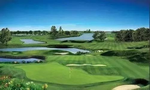 融创营销的真实感受,融创青岛未来发展